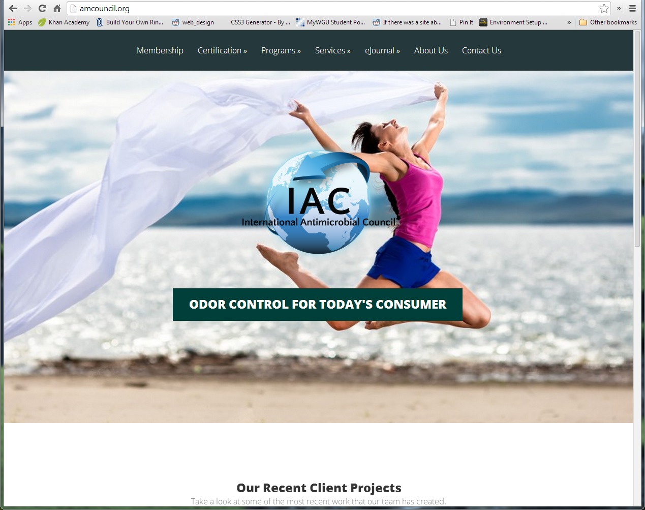 AMCouncil Current project screenshot