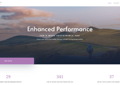 Protecht Site Screenshot